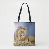 Lion in het tas Safari (Voorkant)
