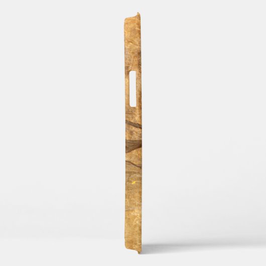 Lion iPhone 12 Coque (Verso / Droite)