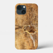 Lion iPhone 13 Mini-Hoesje Case-Mate iPhone Case (Achterkant)