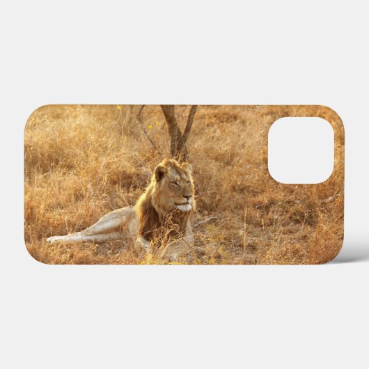 Lion iPhone 13 Mini-Hoesje Case-Mate iPhone Case (Achterkant (horizontaal))