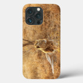 Lion iPhone 13 Pro Coque (Verso)