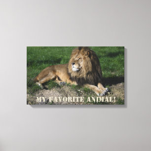 Lion is mijn favoriete dier. canvas afdruk