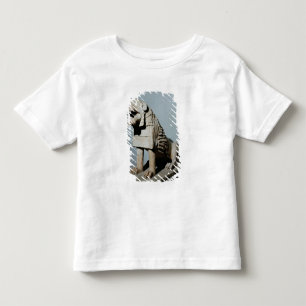 Lion Kinder Shirts