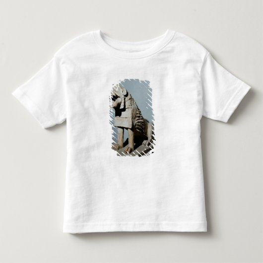 Lion Kinder Shirts (Voorkant)