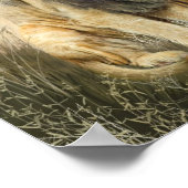 Lion Kiss Art Poster/Afdruk Poster (Hoek)