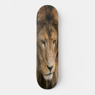 LION, krachtig gebouwd skateboard