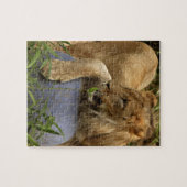 Lion Legpuzzel (Horizontaal)