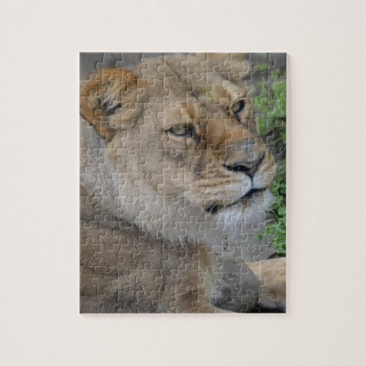 Lion Legpuzzel (Verticaal)