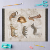 Lion Leopard Giraffe Afrika  kaart ontkoppeling Tissuepapier (Craft)