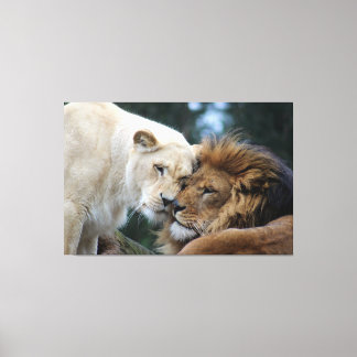 Lion & Lioness Canvas afdrukken