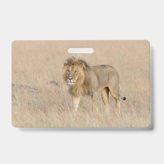 Lion lopen badge (Voorzijde)