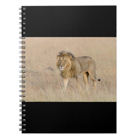 Lion lopen notitieboek (Voorkant)