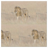 Lion lopen stof (Close Up)