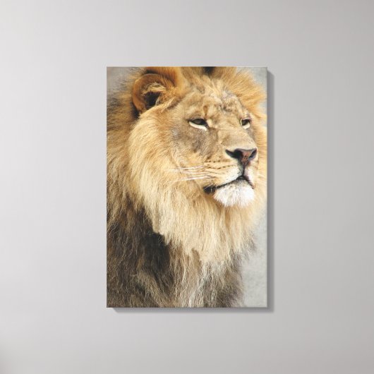 Lion Lovers King of the Oerwoud Canvas Afdruk (Voorkant)