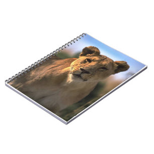 Lion Lovers Vrouw Lioness Notitieboek