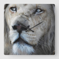 Lion luistert naar mijn hartslag Afrika