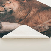 LION LYING ON BROWN ROCK SHERPA DEKEN (3/4)