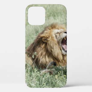 LION LYING ON GREEN GRASS TIS DAG iPhone 12 HOESJE