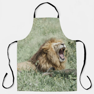 LION LYING ON GREEN GRASS TIS DAG SCHORT