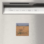 Lion Magneet (Insitu (Vaatwasser))