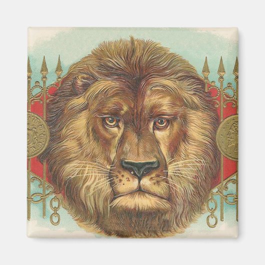Lion Magneet (Voorkant)