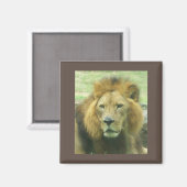 Lion Magnet (Recto/Verso)