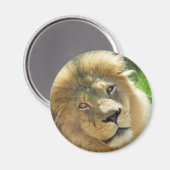 Lion magnet magneet (Voorkant / Achterkant)