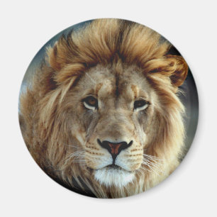Lion Magnet Magneet