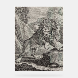 Lion mâle dans le parc national du Serengeti, Tanz