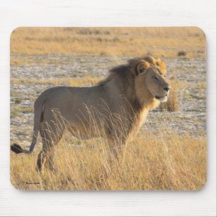 LION MALE MOUSEPAD MUISMAT
