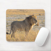 LION MALE MUISMAT (Met muis)