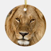 Lion met grote manie keramisch ornament (Voorkant)