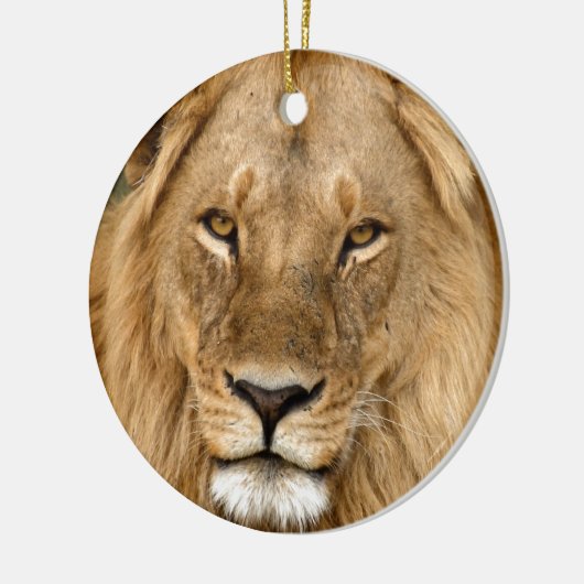 Lion met grote manie keramisch ornament (Links)