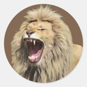 Lion met hoge spanning ronde sticker