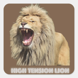 Lion met hoge spanning vierkante sticker