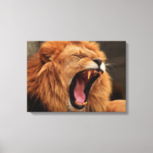 Lion met open mond canvas afdruk