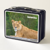 Lion Metal Lunchbox (Dos)