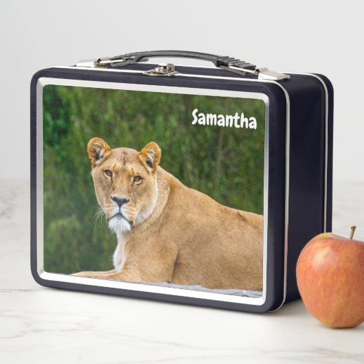 Lion Metal Lunchbox (En situation)