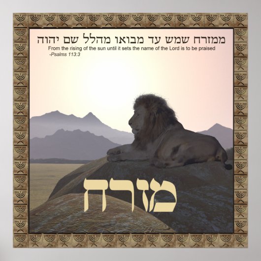 Lion Mizrach Poster (Voorkant)