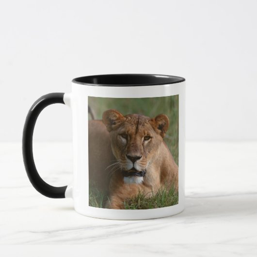 Lion Mok (Links)