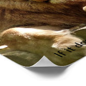 Lion motivatie quote poster (Hoek)