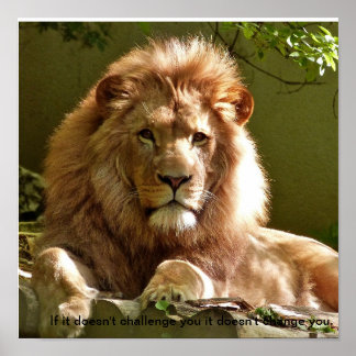 Lion motivatie quote poster