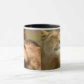 Lion Mugs (Centre)