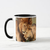 Lion Mugs (Gauche)