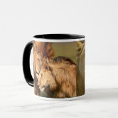 Lion Mugs (Devant gauche)