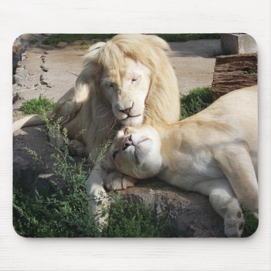 Lion Muismat (Voorkant)