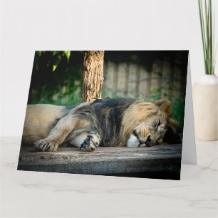 LION NAP FUNNY CARTE D'ANNIVERSAIRE