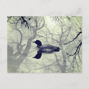 Lion noir et blanc sur une carte postale de lac