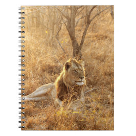 Lion Notitieboek