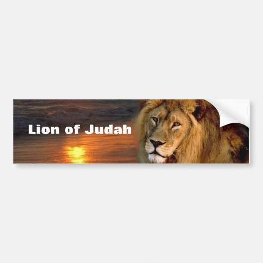 Lion of Judah Collectie Bumpersticker (Voorkant)